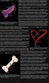 Fantasy constellations