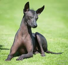 images?q=tbn:ANd9GcRpyOLCCZdhnAYfbYYS5LsRV8Umz_OIG3k0mIbOGJEaOBlqUn5M