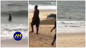The investigation was conducted by the federal investigation. Hilarious As A Thief Ran Into The Ocean To Escape Getting Arrested Police