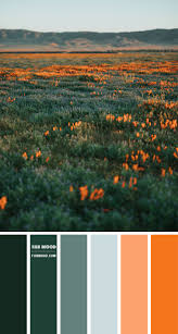 Maybe you would like to learn more about one of these? Blue Green And Orange Color Scheme Color Palette 57 1 Fab Mood Wedding Colours Wedding Themes Wedding Colour Palettes