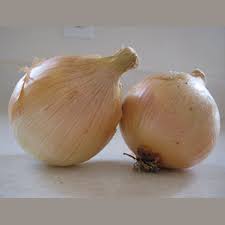 Ailsa craig spanish onions are fine textured, and excellent for salads and sandwiches. Ailsa Craig Prizewinner Onion Organic Annie S Heirloom Seeds