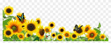 Download 1,203,861 clipart stock illustrations, vectors & clipart for free or amazingly low rates! Ftestickers Flowers Sunflowers Butterfly Border Sunflower Butterfly Border Clipart Png Download 5536191 Pikpng