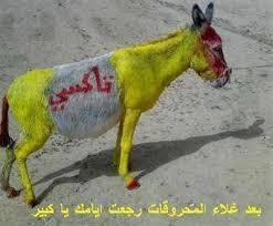 Nakshaat Com Animals Giraffe Funny