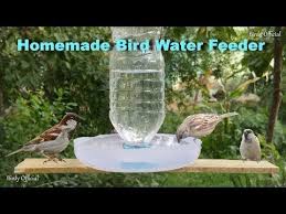 Bird Feeder Rain Guard Pin On Cool Projects