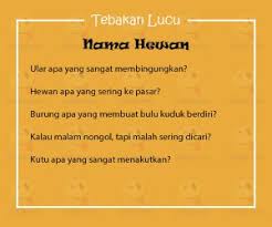 Top 3 menebak jumlah binatang dalam gambar global liputan6 com. Tebak Tebakan Lucu Nama Hewan Yang Receh Banget Yedepe Com