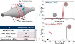 Image result for Gold 1998 AAV