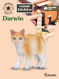 Яндекс Маркет