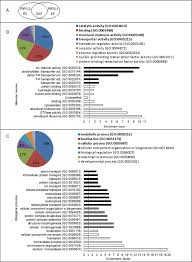 Xia lin xi's senior year is full of radiance while jiang zheng han's is in peril. Novel Aquaporin Regulatory Mechanisms Revealed By Interactomics Molecular Cellular Proteomics