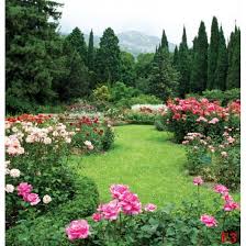 Maybe you would like to learn more about one of these? Wallpapers Garden View With Beautiful Roses