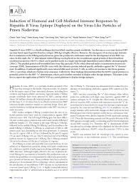 Journey in search of korea's beauty. Pdf Induction Of Humoral And Cell Mediated Immune Responses By Hepatitis B Virus Epitope Displayed On The Virus Like Particles Of Prawn Nodavirus