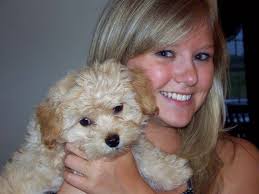 Fundraiser for Brittany Nims by Beth Kwiatkowski : Help Save Lucy!