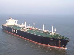 Image result for Galeomma