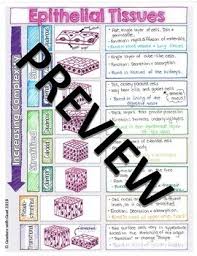 A complete study guide / edition 11. Histology Or Body Tissues Doodle Guided Notes Diagrams Distance Learning