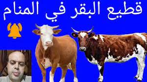 رؤية قطيع البقر في المنام رؤية الشخص في منامه أن قطيع من البقر يقوم بمطاردته ، تدل رؤيته على وصولة لأهدافه وإذا كان قطيع من البقر الأبيض يطارده يعني حصولة على ثروة كبيرة ØªÙØ³ÙŠØ± Ø­Ù„Ù… Ù‚Ø·ÙŠØ¹ Ø§Ù„Ø¨Ù‚Ø± ÙÙŠ Ø§Ù„Ù…Ù†Ø§Ù… Ù„Ø§Ø¨Ù† Ø³ÙŠØ±ÙŠÙ† ØªÙØ³ÙŠØ± Ø§Ù„Ø£Ø­Ù„Ø§Ù… Ù…Ø­Ù…ÙˆØ¯ Ø£Ø­Ù…Ø¯ Ù…Ù†ØµÙˆØ± Youtube