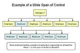 Trends In Organizational Design Shahzads Organization