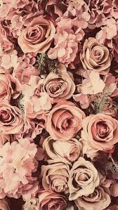 Worldwide shipping available at society6.com. Aesthetic Iphone 11 Wallpaper Flowers Wallpapershit