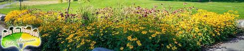 9 geprüfte anwälte und fachanwälte zum thema garten in neuruppin ✅ echte bewertungen ▶️ kompetente rechtsberatung von einem anwalt in ihrer nähe! Garten Und Landschaftsbau Neuruppin
