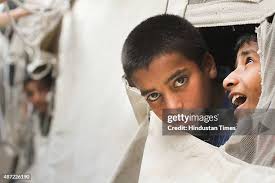 240 Abid Bhat Stock Photos, High-Res Pictures, and Images