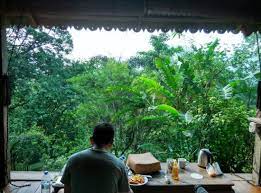 #4 murni ikan bakar hulu langat. Taman Sari B B Reviews Hulu Langat Malaysia Tripadvisor