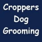 Dog Groomers Near Me In Scarborough Yorkshire The Good Dog Guide