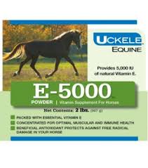 Vitamin e also increases the resistance of the organism during strenuous conditions during the period of growth and training. Uckele Equine E 5000 Powder Vitamin Supplement For Horses 2 Lbs Wilco Farm Stores
