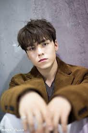See more ideas about vernon, seventeen, vernon seventeen. Vernon Seventeen Espanol Amino