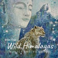 Learn from me online