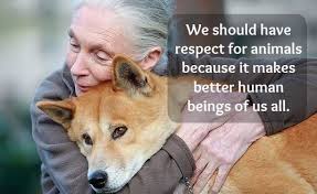 The assumption that animals are without rights and the illusion that our treatment of them has no moral significance is a positively outrageous example. These Amazing Jane Goodall Quotes Will Inspire You To Fight For Animals And Nature Jane Goodall Quotes Animal Quotes Jane Goodall