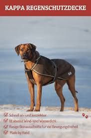 kappa regenschutzdecke in 2021 regenmantel hund hunde alter hund