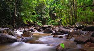 Malaysia Truly Asia - Ulu Bendul Recreational Forest