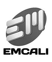 Logo de empresas municiaples de cali, realizado en core. Diario Occidente Emcali Logo Ventana