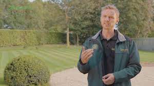 Chafer Grubs Leatherjackets The Damage They Do How To Get Rid Of Them Youtube