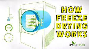 Freeze dryers freeze dryers lower the temperature of a substance to the point that sublimation and dehydration occur. Best Home Freeze Dryer On The Market Today With Video Reviews