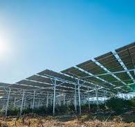 ソーラーシェアリング（営農型太陽光発電）とは？メリットや導入 ...