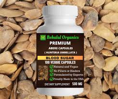 Image result for Hunteria umbellata