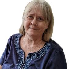 Susan D. Cummings Obituary (2024)