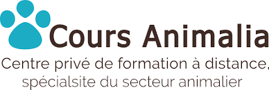 Votre formation auxiliaire vétérinaire à distance et à votre rythme. Devenir Auxiliaire Veterinaire Le Guide Complet