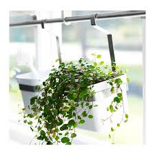 Us Furniture And Home Furnishings Kuchenpflanzen Hangepflanzen Gartenfenster