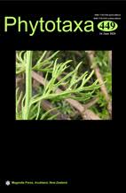 Image result for Premna velutina