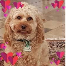 IS THERE AYNONE HERE WHO STILL HAS AN IRONING BOARD BE HONEST!!