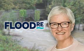 Rosewell named Flood Re chair from September as Hoban exits