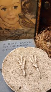 McGuire's Illustrated Guide