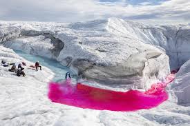 Future Global Pandemic Could Be 'Hiding In Melting Ice': Biologist