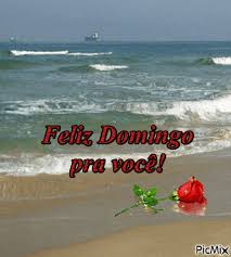 25 anos, estudante de design de interiores, amo meus bichinhos. Feliz Domingao Picmix