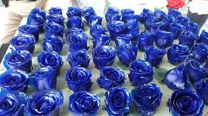 How to preserve a rose with glycerin. Chemical Forums Flower Preservation With Ethanol And Glycol