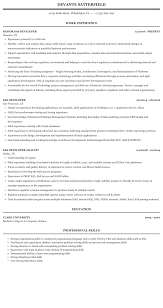 sas developer resume sample mintresume