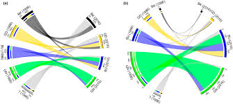 Image result for Trichoscypha lucens