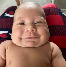 BULKING, BABY BRO & JESUS Hit 240x2