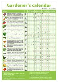A3 Beginner Gardener 39 S Vegetable Chart Gardening Calendar Yearly Planner Ideal Mother 39 S D Garden Plants Vegetable Garden Calendar Gardening For Dummies
