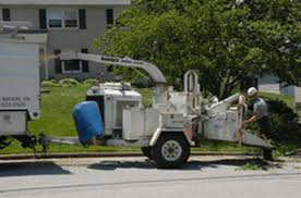 Maybe you would like to learn more about one of these? Atlas Tree Service Tree Services Lyndhurst Nj